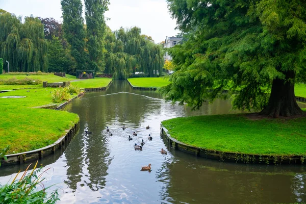 Parque de la ciudad, reflejo de los árboles en el agua del estanque, otoño. Rotterdam — Foto de Stock