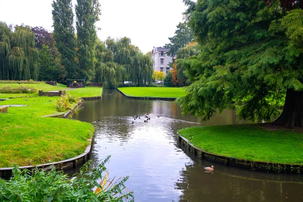 Parque de la ciudad, reflejo de los árboles en el agua del estanque, otoño. Rotterdam — Foto de Stock
