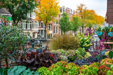 Amsterdam, Hollanda - 15.10.2019: Bir şelalede satılık çiçekler