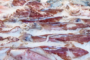 Sokak pazarında buzda taze ahtapot..