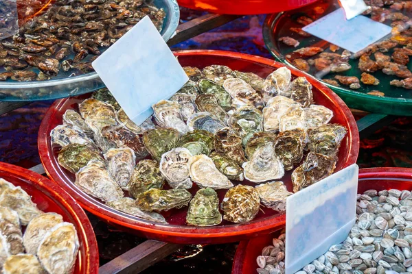 Varios mariscos en el mercado de pescado, conchas, ostras . — Foto de Stock