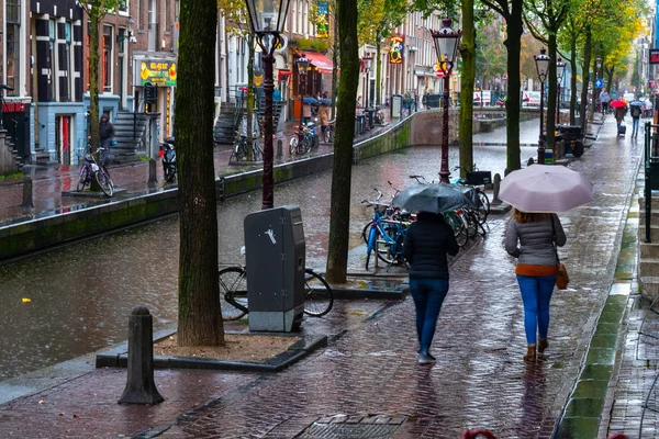 Amsterdam, Hollanda - 15.10.2019: Amster 'da tipik yağmurlu gün