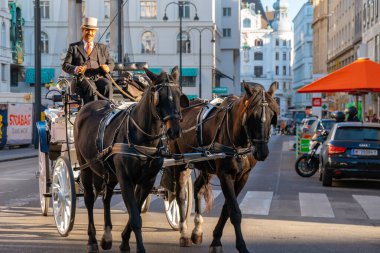 Viyana, Avusturya - 24.10.2019: At arabası veya Fiaker, po