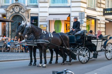 Viyana, Avusturya - 24.10.2019: At arabası veya Fiaker, po