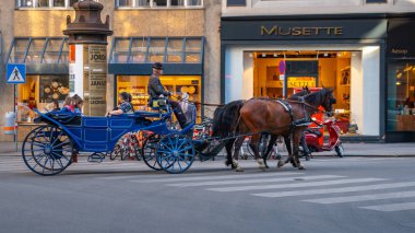 Viyana, Avusturya - 24.10.2019: At arabası veya Fiaker, po