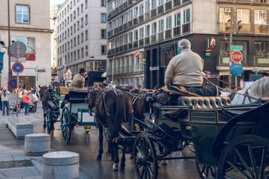Viyana, Avusturya - 24.10.2019: At arabası veya Fiaker, po