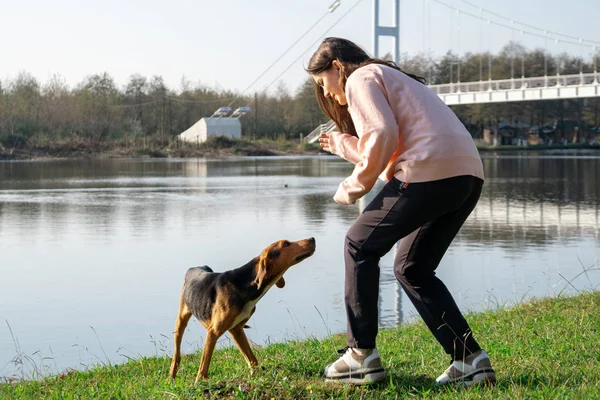 Девушка ласкает брошенную собаку на озере. Усыновление животных. Поти — стоковое фото
