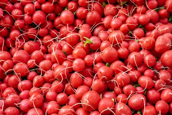 Heap Of Ripe Radish, Red natural organic radishes background��. — 스톡 사진