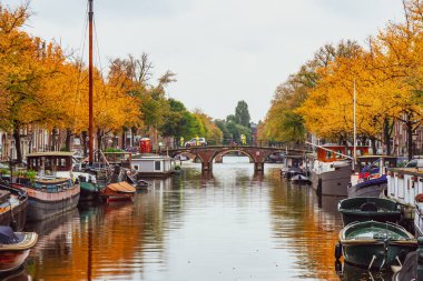 Amsterdam, Hollanda - 15.10.2019: Amsterdam şehri c