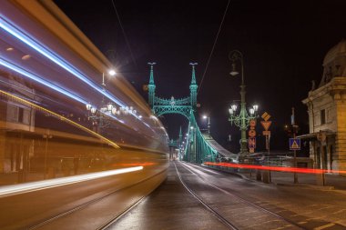 Macaristan'ın başkenti Liberty Köprüsü'nün gece manzarası.