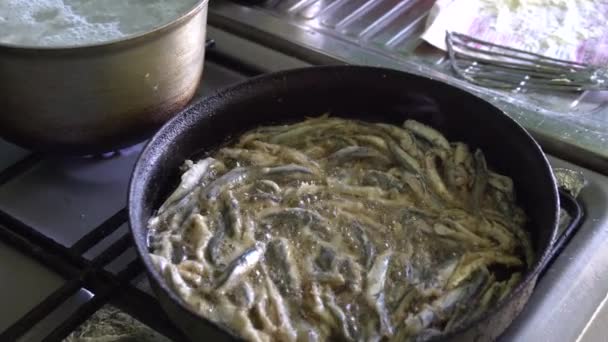 Fritura de biqueirão em panela quente, cozinha — Vídeo de Stock