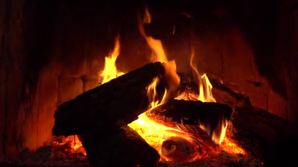 집에서 아늑한 벽난로에서 장작을 따뜻하게 합니다 텍스처 — 비디오