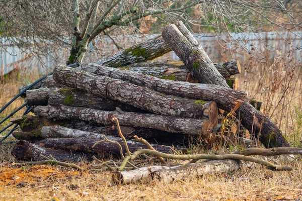 Dřevo v zahradě, připravené na zimu — Stock fotografie