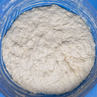 Büyük mavi bir kasede taze maya hamuru.