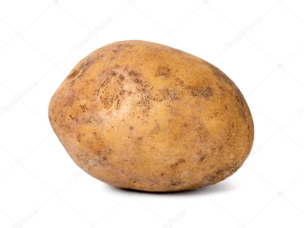Single potato isolated on white background. Vegetable.