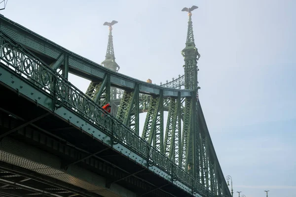 Il Ponte della Libertà di Budapest, in Ungheria, collega Buda e Pest città attraverso il Danubio. ponte più corto della città di Budapest . — Foto Stock