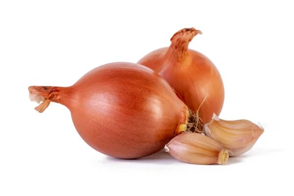 Ajo y cebolla aislados sobre fondo blanco — Foto de Stock