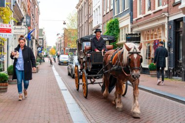 Amsterdam, Hollanda - 15.10.2019: Turistler için geleneksel at arabası