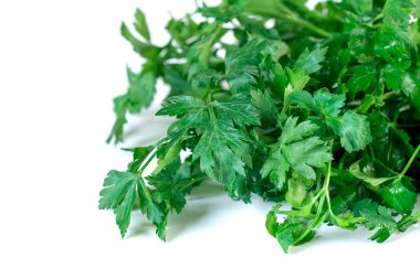 Fresh parsley isolated on a white background, vegetable.