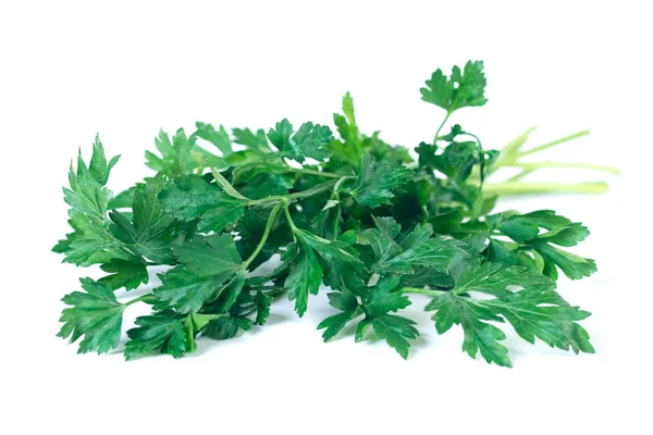 Fresh parsley isolated on a white background, vegetable. — Stock Photo, Image