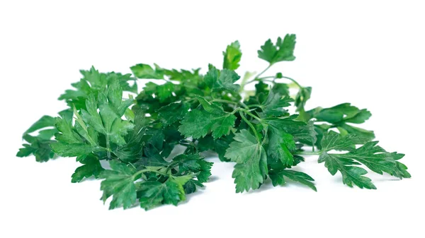 Fresh parsley isolated on a white background, vegetable. — Stock Photo, Image