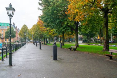 Rotterdam 'da sonbahar manzarası, dinlenme yeri.