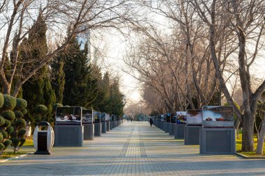 Baku, Azerbaijan 27 January 2020 - Alley in Baku Central Park.