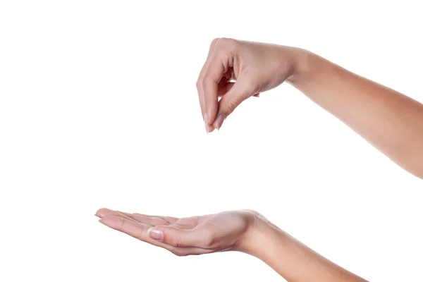 Woman hand holding something isolated on a white background. — Stock Photo, Image