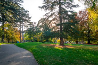 Vienna, Austria 25 November 2019 - People relaxing in a park
