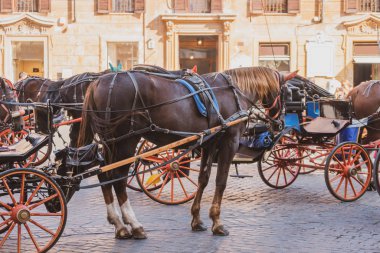 Horse carriage waits for tourists in historical center of Rome.