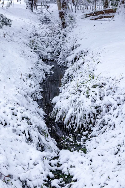 Vodní kanál v zimě, který má sníh na zemi a stromy — Stock fotografie