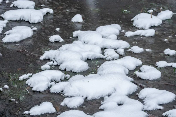 Little pond covered with snow in winter. — ストック写真