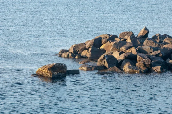 Many seagulls sitting on the stone rocks in the sea — Stock Photo, Image