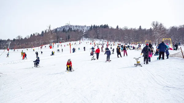 Bakuriani, Georgia February 15, 2020 - Light skiing track in Bakuriani — Φωτογραφία Αρχείου