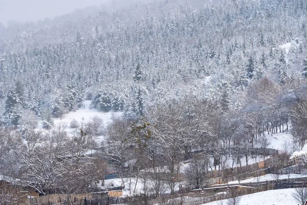 Veduta di Bakuriani, località invernale in Georgia . — Foto Stock