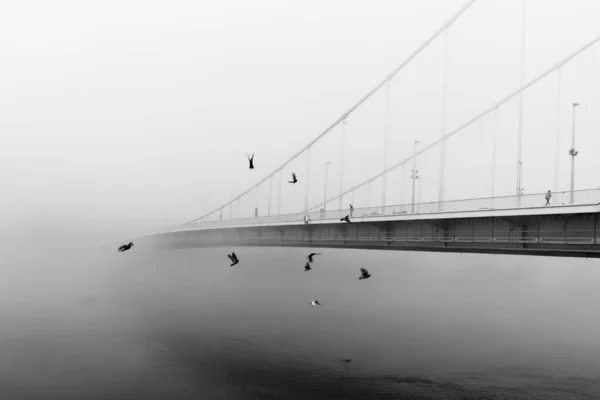 ブダペストの霧深い朝にあるエリザベート橋は ドナウ川を渡ってブダとペストを結んでいる — ストック写真
