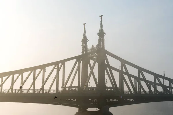 Amanecer Río Danubio Con Vista Sobre Puente Liberty Budapest Hungría — Foto de Stock