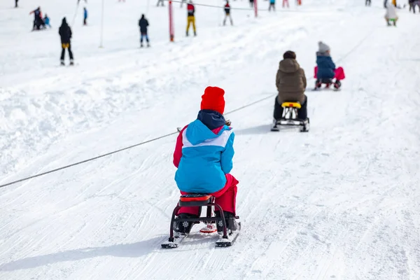 Crianças Com Trenó Escalando Colina Nevada Parque Inverno Bakuriani Geórgia — Fotografia de Stock