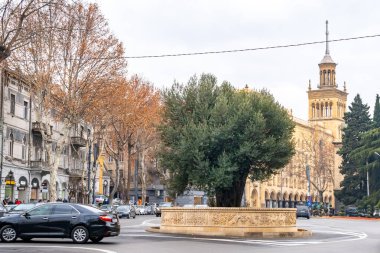Tiflis, Georgia - 20 Ocak 2020 Rustaveli Bulvarı 'ndaki zeytin ağacı. Seyahat