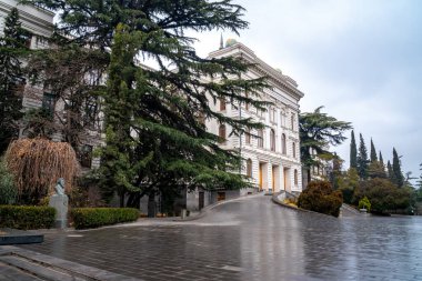 1918 'de kurulan Tiflis Eyalet Üniversitesi manzarası. Eğitim
