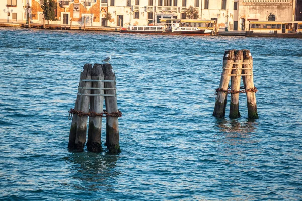 Pier Postes Madeira Apertados Juntos Por Correntes Enferrujadas Canal Veneza — Fotografia de Stock