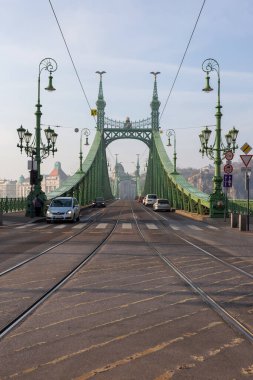 Budapeşte, Macaristan - 10 Kasım 2018: Budapeşte 'deki Özgürlük Köprüsü. Macaristan 'a Seyahat