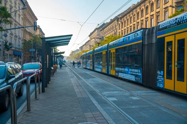 Budapest Hungría Noviembre 2018 Hermosa Vista Ciudad Histórica Budapest Personas — Foto de Stock