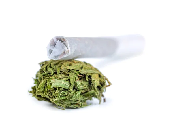 Stapel Medicinale Gedroogde Cannabis Marihuana Geïsoleerd Witte Achtergrond Studio Shoot — Stockfoto