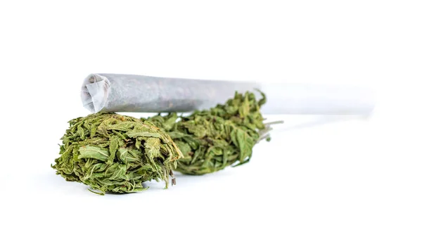 Högen Med Medicinskt Torkad Cannabis Och Marijuana Isolerad Vit Bakgrund — Stockfoto