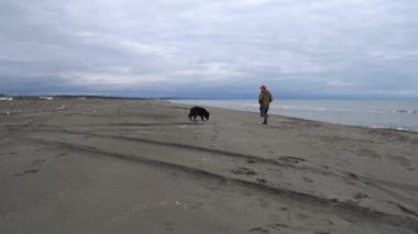 Alman çoban köpeği ve sahibi Karadeniz, Poti, Gürcistan kıyılarında yürürler.