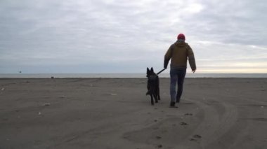 Alman çoban köpeği ve sahibi Karadeniz, Poti, Gürcistan kıyılarında yürürler.