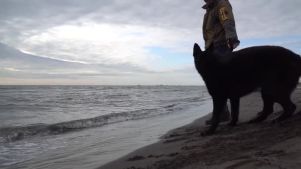 Tyska Shepherd Och Dess Ägare Promenad Längs Stranden Svarta Havet — Stockvideo