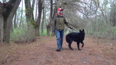 Alman çoban köpeği ve sahibi parkta yürür.