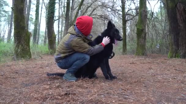 Deutscher Schäferhund Und Sein Besitzer Spazieren Park — Stockvideo